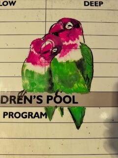 Have a loving day!
#art #publicart #lovebirds