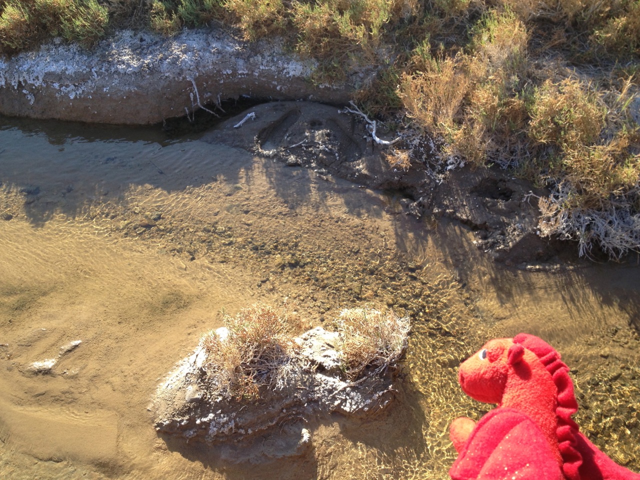 Dafydd at Salt Creek. The white stuff is salt. I know, I checked.