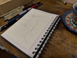 It's September which means it's time to get working on that holiday card!
#artwork #birdart #cedarwaxwing