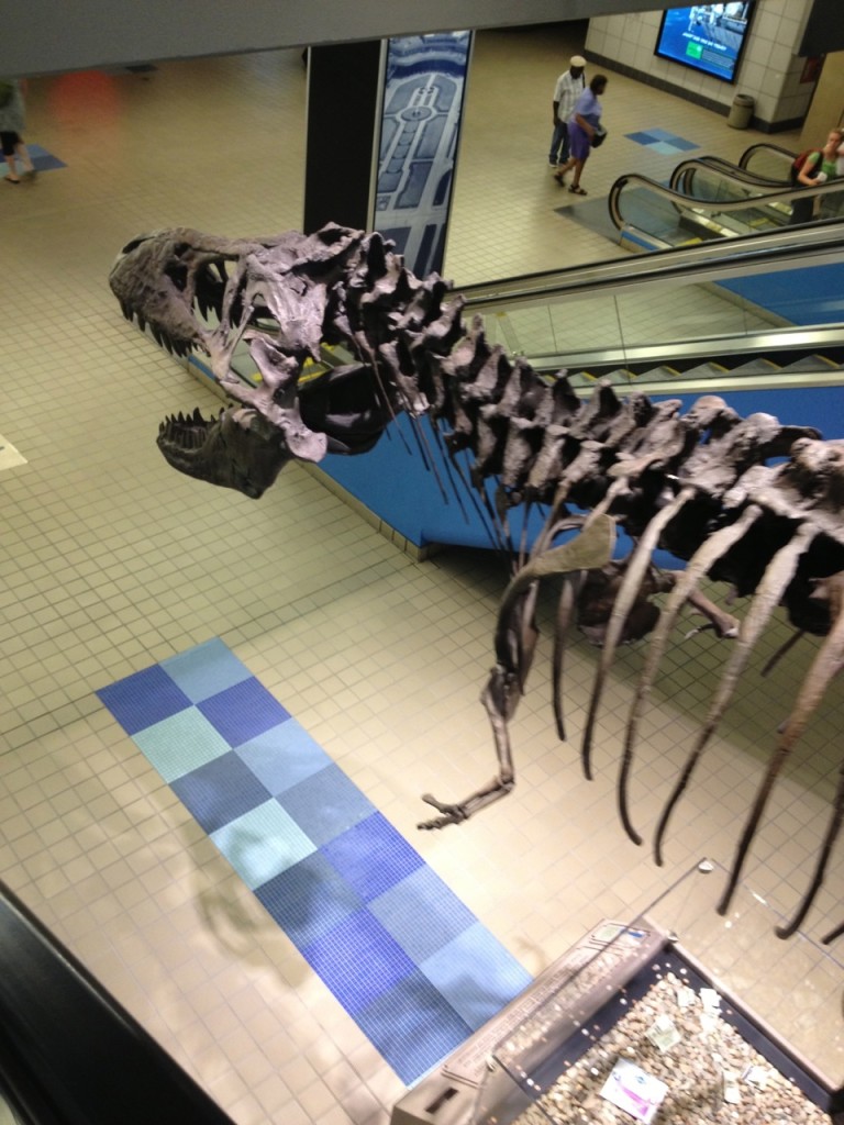 Tyrannosaurus skeleton pointing the way to Baggage Claim at Pittsburgh Int. Airport. It has gotten to the point that I can navigate it with hardly any help from the signs. 