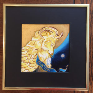 Procyon Framed