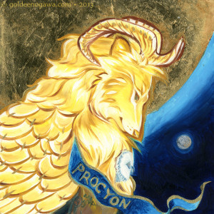 Procyon