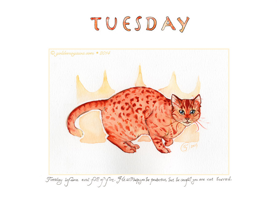 Tuesday is fierce and full of fire. He will help you be productive, but be careful you are not burned.